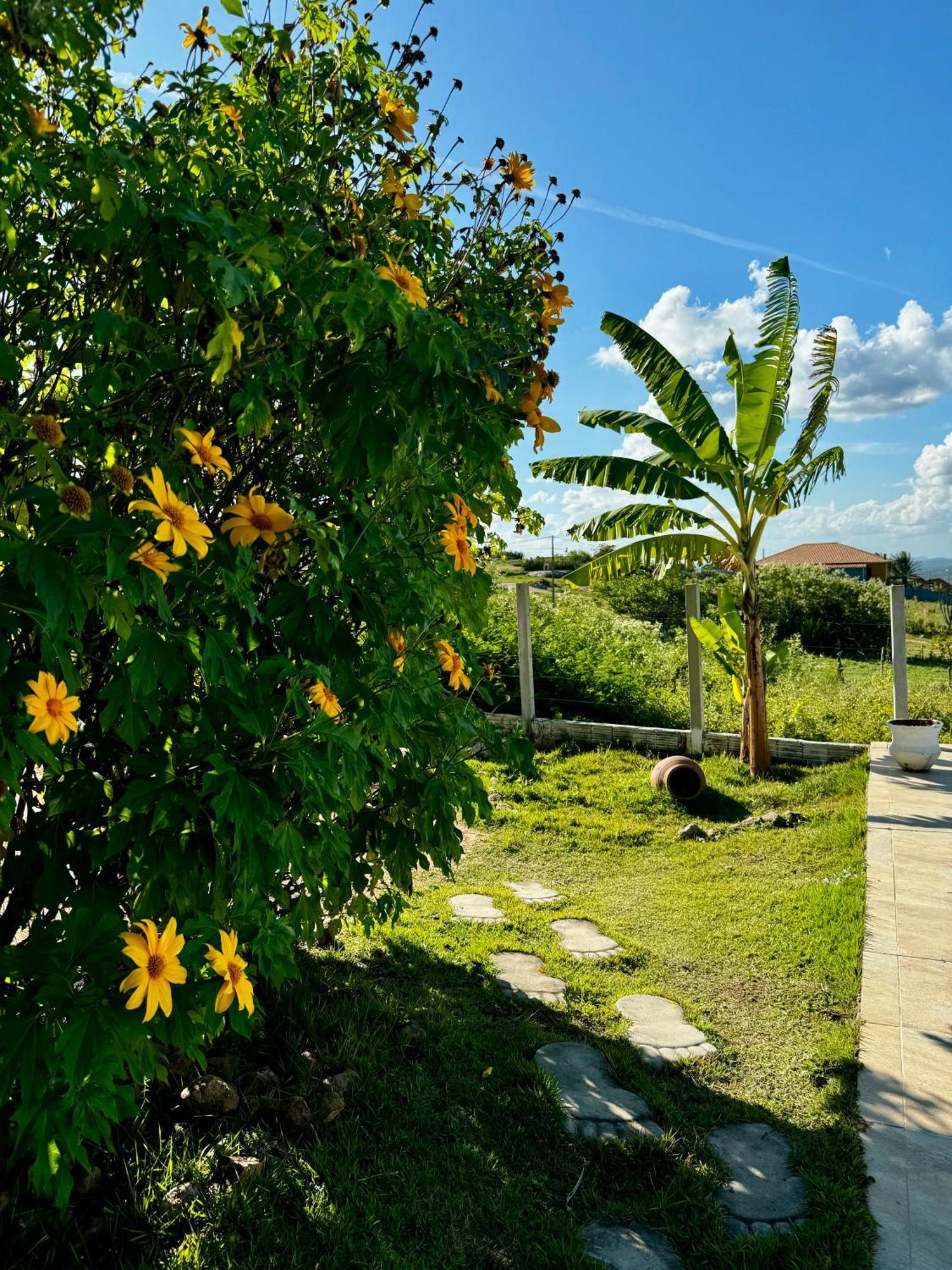 Lodge Sossego Da Serra